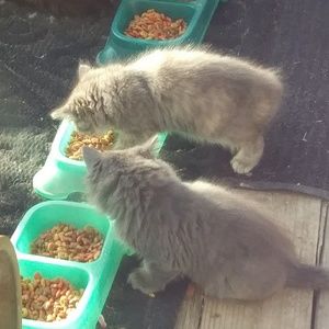 Meet your Posher, Ray